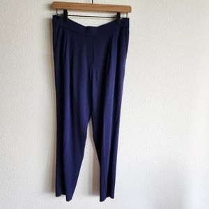 Aritzia Babaton Cohen Navy Pants
